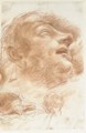 Head of a man looking up - (after) Domenico Maria Canuti