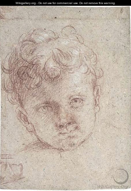 Head of a young child - (after) Elisabetta Sirani