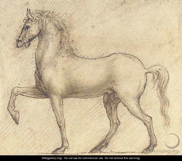 A horse in profile to the left - (after) Cesare Da Sesto