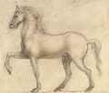 A horse in profile to the left - (after) Cesare Da Sesto