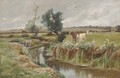 Cattle by a stream - Arthur Walker Redgate