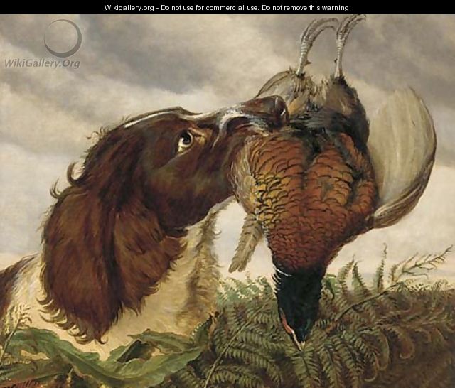 A spaniel with a pheasant - Ashburnham H. Bulley