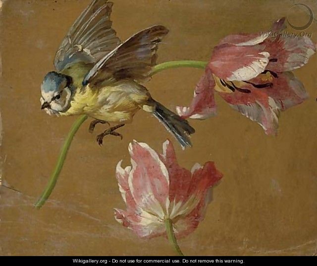 A study of two tulips and a bluebird - (after) Alexandre-Francois Desportes Champigneule