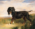 Portrait of a King Charles Spaniel in a Landscape - (after) Alexander MacInnes