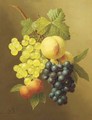 A swag of peaches, grapes and apricots - Arnoldus Bloemers