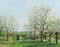 An orchard in spring - Arnold Marc Gorter