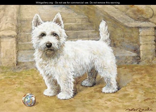 A westie - A.C. (after) Cooke