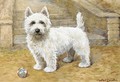 A westie - A.C. (after) Cooke