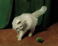 A white Persian cat with a ball - Arthur Heyer