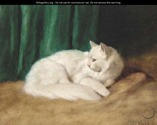 A white cat - Arthur Heyer