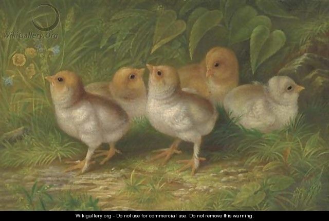 Expecting Chicks - Arthur Fitzwilliam Tait