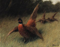 Pheasants in a Landscape - Arthur Heyer