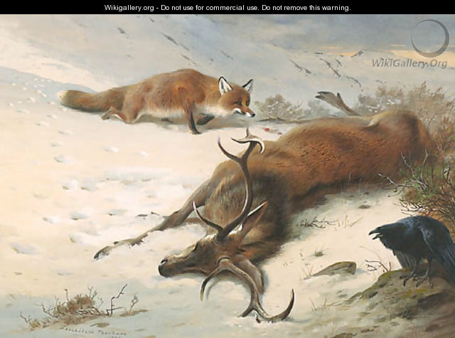 The Fox, the Raven and the dead Stag - Archibald Thorburn