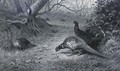 Pheasant on a woodland path, late Autumn - Archibald Thorburn