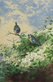 Blue tits and an orange tip butterfly among hawthorn blossom - Archibald Thorburn