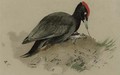 A Swedish woodpecker - Archibald Thorburn