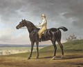 Lord Lowther's Busto with W. Wheatley, up at Newmarket, 1815 - Carle Vernet