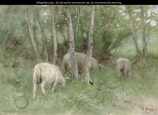 Sheep in a Meadow - Anton Mauve