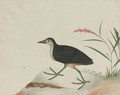 An exotic bird perched on a stump - Anglo-Chinese School