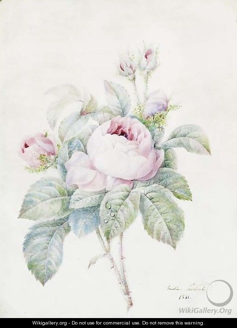 A Spray of pink Roses - Anne-Ernestine Panckoucke