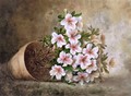 White Azaleas in a Flower Pot - Paul De Longpre