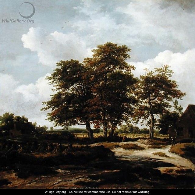 Wooded Landscape with Cornfields 1655 60 - Jacob Van Ruisdael