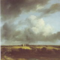 View of the ruins of huis ter kleef and haarlem - Jacob Van Ruisdael