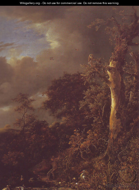 Oak tree and dense shrubbery at the edge of a pond - Jacob Van Ruisdael