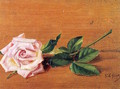 Rose 1887 - Ferenc Martyn