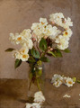 Little White Roses - Sandor Nagy