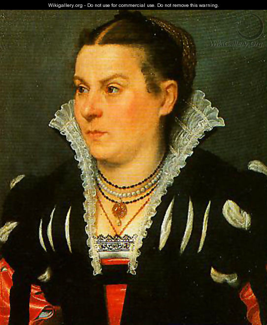 Portrait of a Noblewoman - Giovanni Battista Moroni