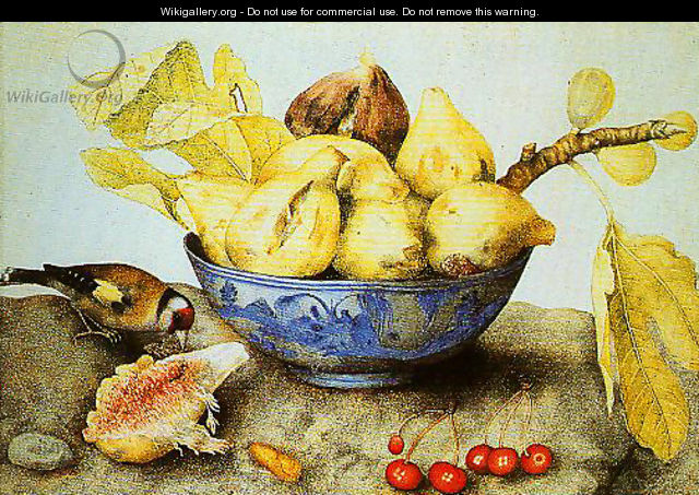 Chinese Cup with Figs Cherries and Goldfinch - Giovanna Garzoni