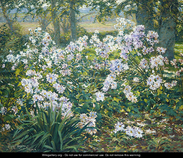 Windflowers 1912 - Gaines Ruger Donoho