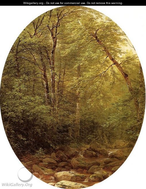 Above the Falls Catskill 1862 - John William Casilear