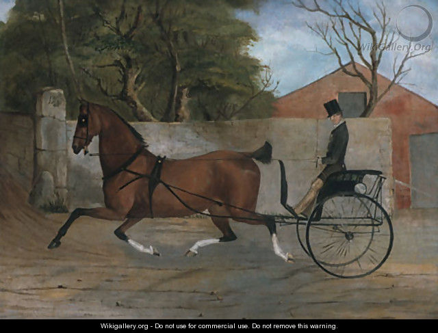 Portrait of a Gentleman in a Carriage 1850 - Anonymous Artist