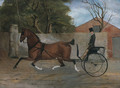 Portrait of a Gentleman in a Carriage 1850 - Anonymous Artist