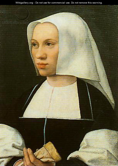Portrait of a Woman - Bernaert van Orley