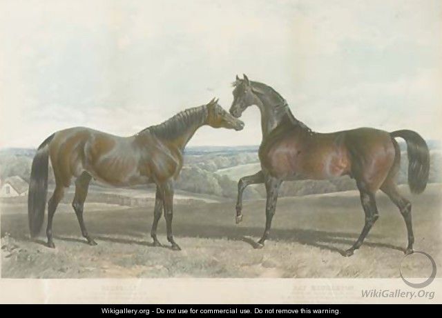 Barbelle, bred by Mr. Vansittant and Bay Middleton, bred by the Earl of Jersey - John Frederick Herring Snr