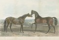 Barbelle, bred by Mr. Vansittant and Bay Middleton, bred by the Earl of Jersey - John Frederick Herring Snr