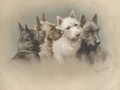 Four terriers - Fannie Moody