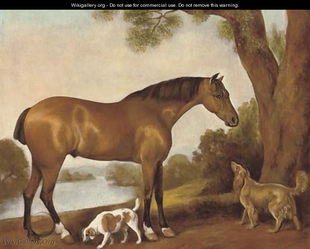 A hunter and hounds in an extensive landscape - George Townley Stubbs