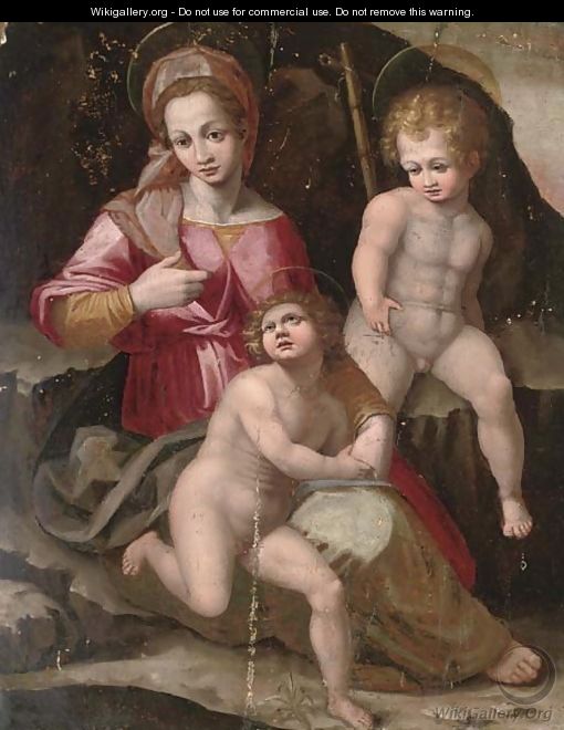 The Madonna and Child with the Infant Saint John the Baptist - Andrea Del Sarto