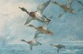 Geese - Archibald Thorburn