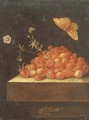 Stawberries in a pot on a stone ledge with a butterfly - Adriaen Coorte