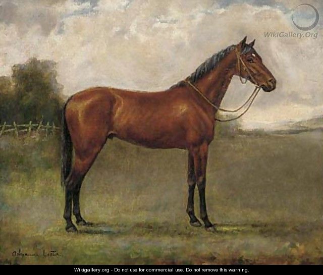 A bay horse in a paddock - Adrienne Lester