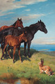 Ponies and a Hare overlooking the Sea - Adolf Henrik Mackeprang