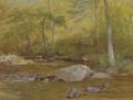 Rocks in Spring, Farmington River - Aaron Draper Shattuck