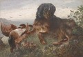 A gundog with a grouse - Alfred Dawson