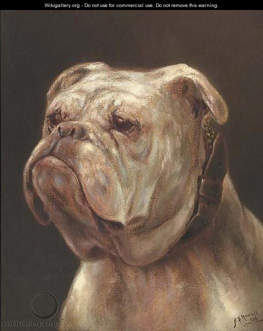 The head of a bulldog - Samuel Howell