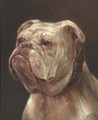 The head of a bulldog - Samuel Howell